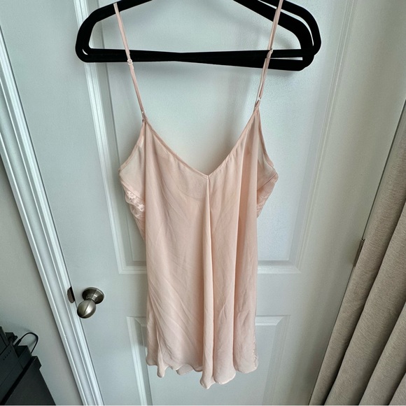 Pale Peachy-Pink Sheer Nightie with Floral Lace Overlay - Picture 2 of 6